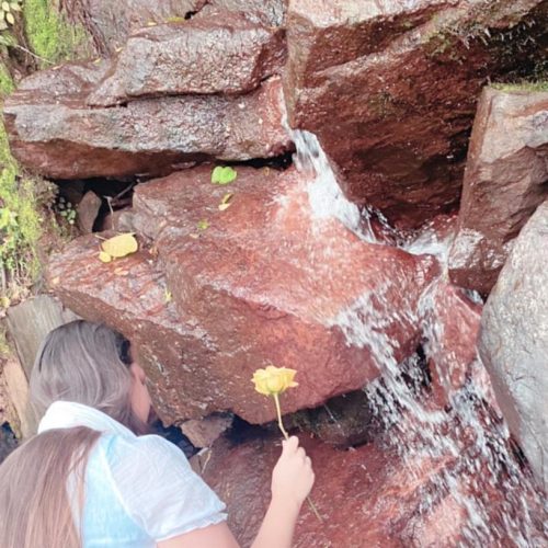 WhatsApp Image 2025-05-29 at 14.21.12